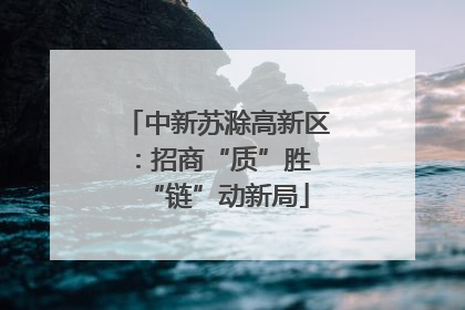 中新苏滁高新区：招商“质”胜 “链”动新局