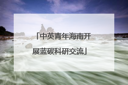 中英青年海南开展蓝碳科研交流