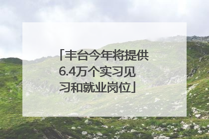 丰台今年将提供6.4万个实习见习和就业岗位