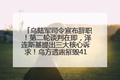 乌陆军司令宣布辞职！第二轮谈判在即，泽连斯基提出三大核心诉求！乌方透露摧毁41架俄战略轰炸机