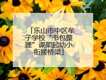 乐山市中区牟子学校“书包整理”课架起幼小衔接桥梁