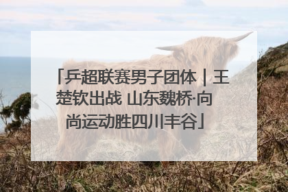 乒超联赛男子团体｜王楚钦出战 山东魏桥·向尚运动胜四川丰谷