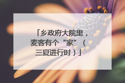 乡政府大院里，麦客有个“家”（三夏进行时）