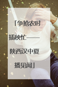 争抢农时插秧忙——陕西汉中夏播见闻