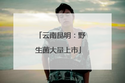 云南昆明：野生菌大量上市