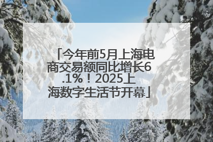今年前5月上海电商交易额同比增长6.1%！2025上海数字生活节开幕