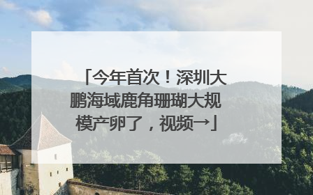 今年首次！深圳大鹏海域鹿角珊瑚大规模产卵了，视频→