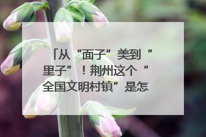 从“面子”美到“里子”！荆州这个“全国文明村镇”是怎样炼成的？