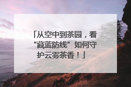 从空中到茶园，看“藏蓝防线”如何守护云雾茶香！