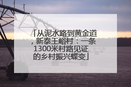 从泥水路到黄金道,新泰王峪村:一条1300米村路见证的乡村振兴蝶变