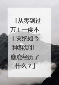 从零到过万！一度本土灭绝如今种群复壮 麋鹿经历了什么？