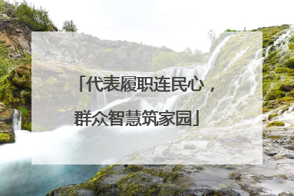 代表履职连民心，群众智慧筑家园