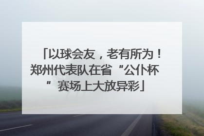 以球会友，老有所为！郑州代表队在省“公仆杯”赛场上大放异彩
