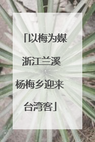 以梅为媒 浙江兰溪杨梅乡迎来台湾客