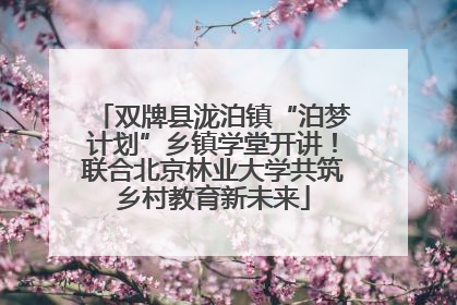 双牌县泷泊镇“泊梦计划”乡镇学堂开讲！联合北京林业大学共筑乡村教育新未来