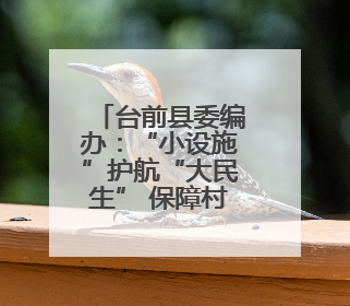 台前县委编办：“小设施”护航“大民生” 保障村民出行安全