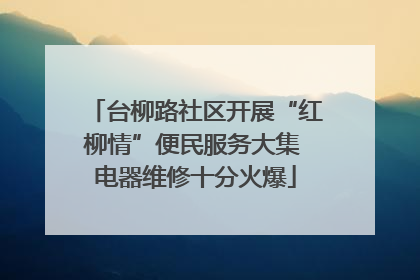 台柳路社区开展“红柳情”便民服务大集 电器维修十分火爆