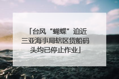 台风“蝴蝶”迫近 三亚海事局辖区货船码头均已停止作业