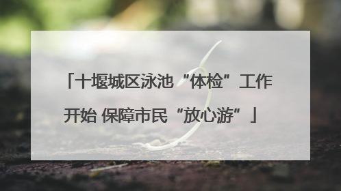 十堰城区泳池“体检”工作开始 保障市民“放心游”
