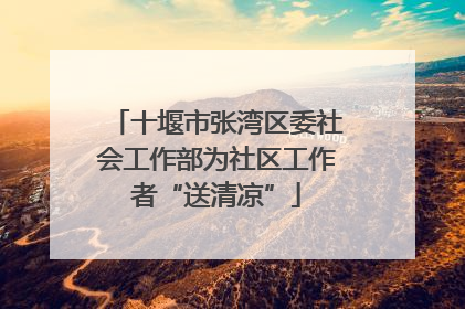 十堰市张湾区委社会工作部为社区工作者“送清凉”