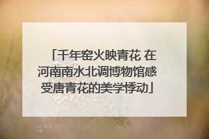 千年窑火映青花 在河南南水北调博物馆感受唐青花的美学悸动
