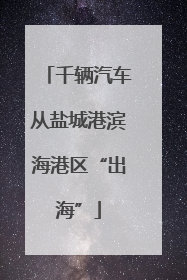 千辆汽车从盐城港滨海港区“出海”