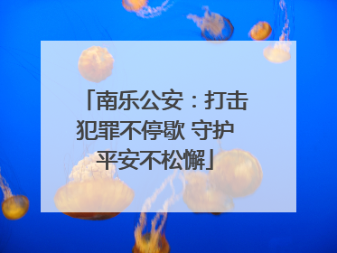 南乐公安：打击犯罪不停歇 守护平安不松懈