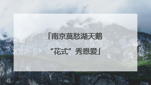 南京莫愁湖天鹅“花式”秀恩爱