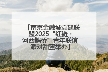 南京金融城党建联盟2025“红链・河西鹊桥”青年联谊派对甜蜜举办