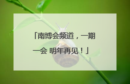 南博会频道，一期一会 明年再见！