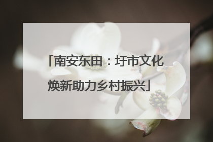 南安东田：圩市文化焕新助力乡村振兴