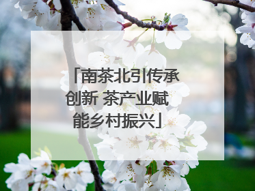 南茶北引传承创新 茶产业赋能乡村振兴
