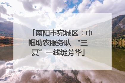 南阳市宛城区：巾帼助农服务队 “三夏”一线绽芳华