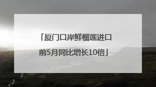 厦门口岸鲜榴莲进口 前5月同比增长10倍