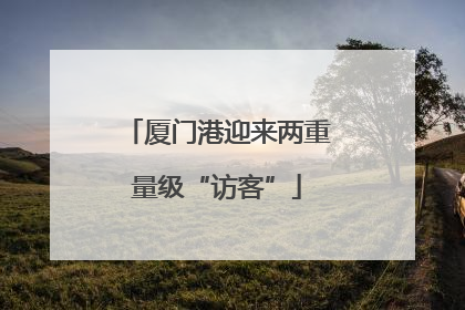 厦门港迎来两重量级“访客”