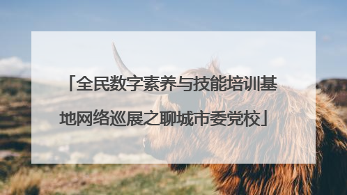 全民数字素养与技能培训基地网络巡展之聊城市委党校