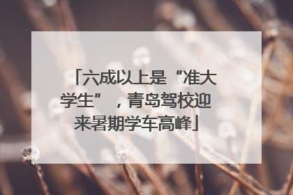 六成以上是“准大学生”，青岛驾校迎来暑期学车高峰