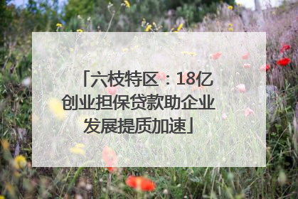 六枝特区：18亿创业担保贷款助企业发展提质加速