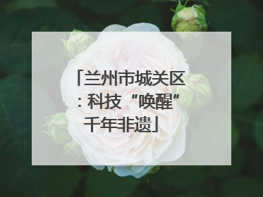兰州市城关区：科技“唤醒”千年非遗