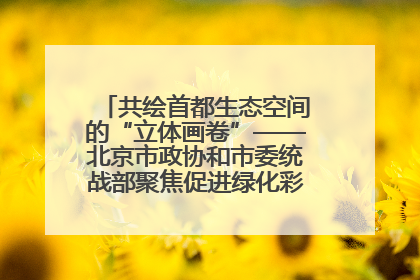 共绘首都生态空间的“立体画卷”——北京市政协和市委统战部聚焦促进绿化彩化美化生态空间建设联合协商议政