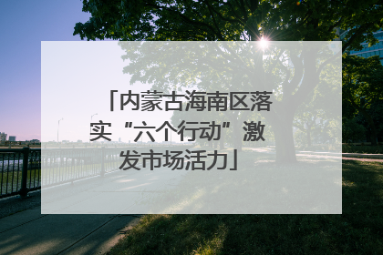 内蒙古海南区落实“六个行动”激发市场活力