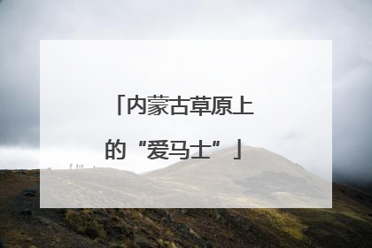 内蒙古草原上的“爱马士”
