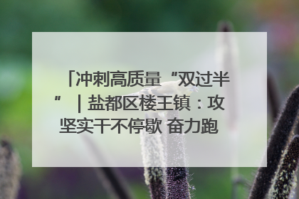 冲刺高质量“双过半”｜盐都区楼王镇：攻坚实干不停歇 奋力跑赢“上半场”