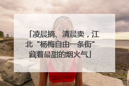凌晨摘、清晨卖，江北“杨梅自由一条街”藏着最甜的烟火气