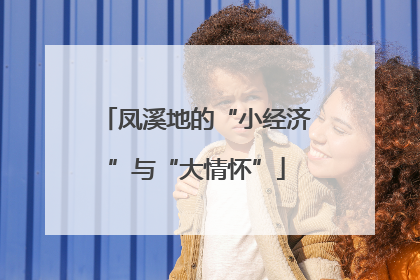 凤溪地的“小经济”与“大情怀”