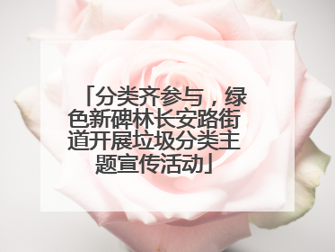 分类齐参与，绿色新碑林长安路街道开展垃圾分类主题宣传活动