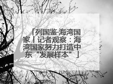 列国鉴·海湾国家丨记者观察：海湾国家努力打造中东“发展样本”