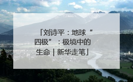 刘诗平：地球“四极”：极境中的生命｜新华走笔