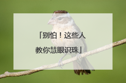 别怕！这些人教你慧眼识珠