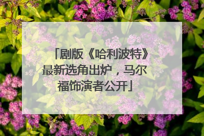 剧版《哈利波特》最新选角出炉，马尔福饰演者公开
